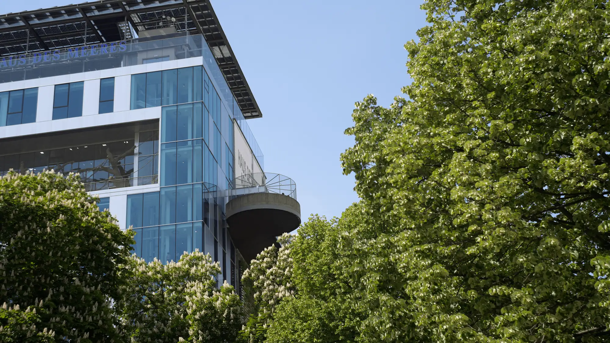 Kantoorgebouw met glasgevel tussen bomen
